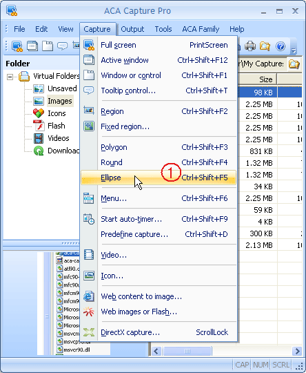 Capture a ellipse from Windows desktop